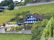 DAVINCI HAUS - Haus am Genfer See